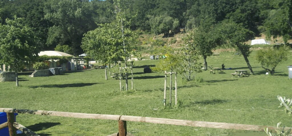 area verde Asti